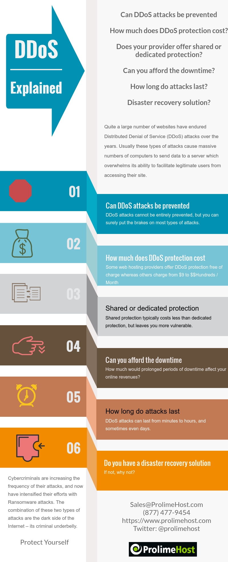 DDoS Attacks Explained Infographic